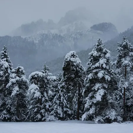 Appartement Tenanatura By Bevalle