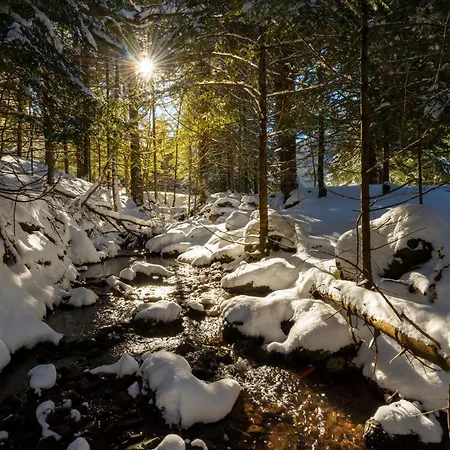 Tenanatura By Bevalle アパート *