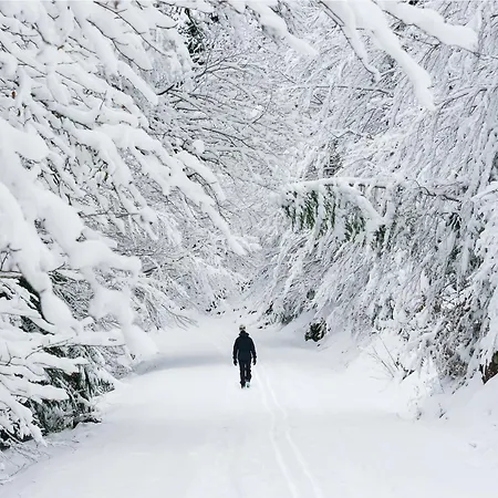 Tenanatura By Bevalle *