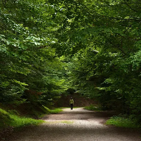 Tenanatura By Bevalle Apartamento Escarrilla