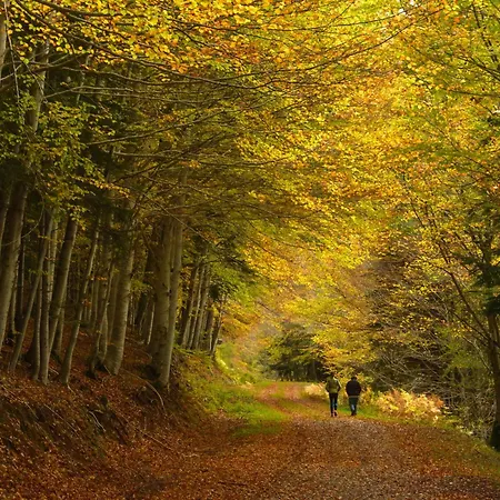 アパート Tenanatura By Bevalle エスカリリャ