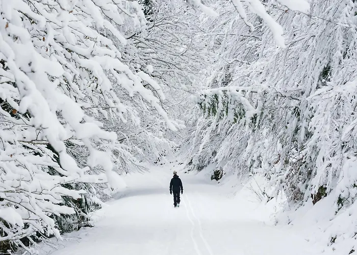 Tenanatura By Bevalle *