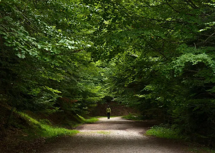 Tenanatura By Bevalle アパート エスカリリャ