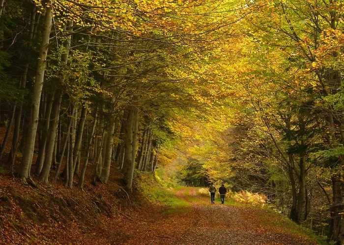 アパート Tenanatura By Bevalle エスカリリャ